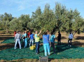 PERCORSO OLIVICOLTURA - NATURA NAKUPENDA